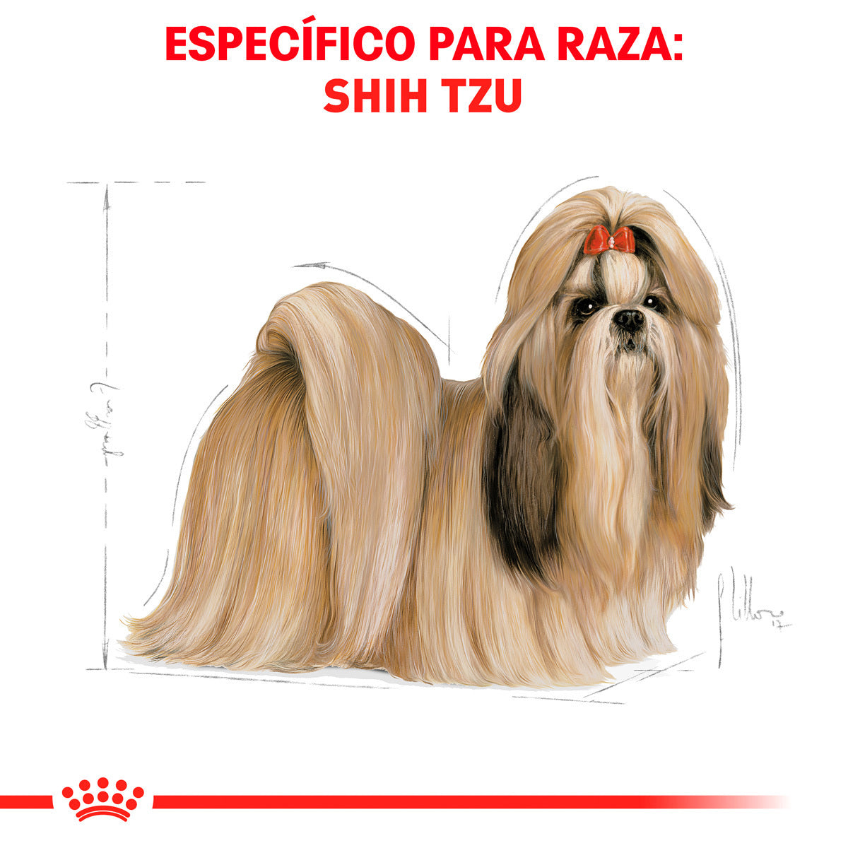 ROYAL CANIN - Alimento Seco Para Perro Adulto Raza Shih Tzu 4.54 kg - Image 3
