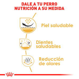 ROYAL CANIN - Alimento Seco Para Perro Adulto Raza Shih Tzu 4.54 kg - Image 5