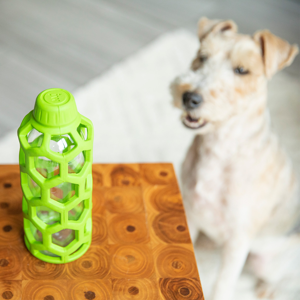 JW Pet Company Hol-ee Juguete en Forma de Botella Color Verde para Perro, Mediano