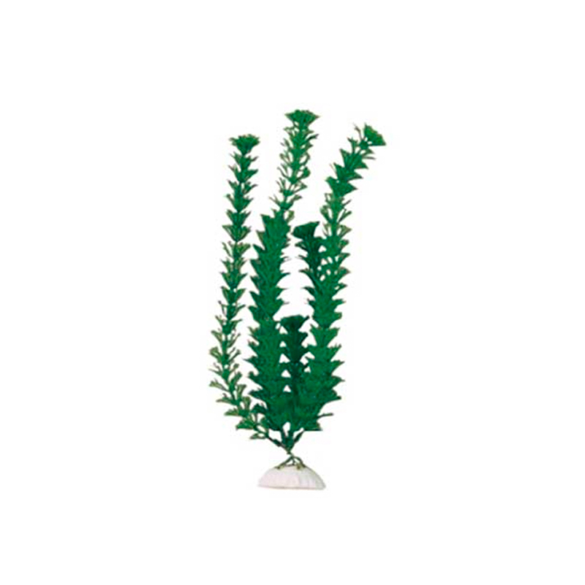 Boyu decoración Planta Zorrillo para Acuario, 50 cm