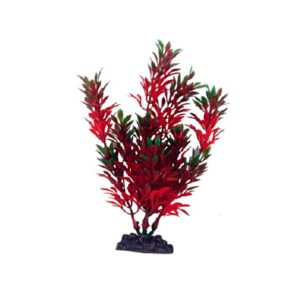 Boyu Decoración Planta Ludwigia Roja para Acuario, 50 cm
