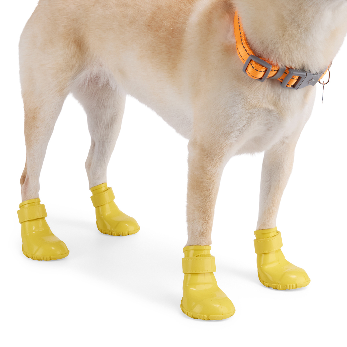 Youly Summer Botas para Lluvia de Silicón para Perro, Grande
