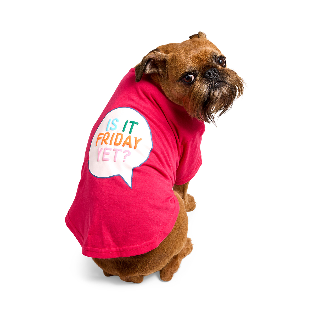 Youly Spring Playera con Estampado  Is It Friday Yet para Perro, Chico