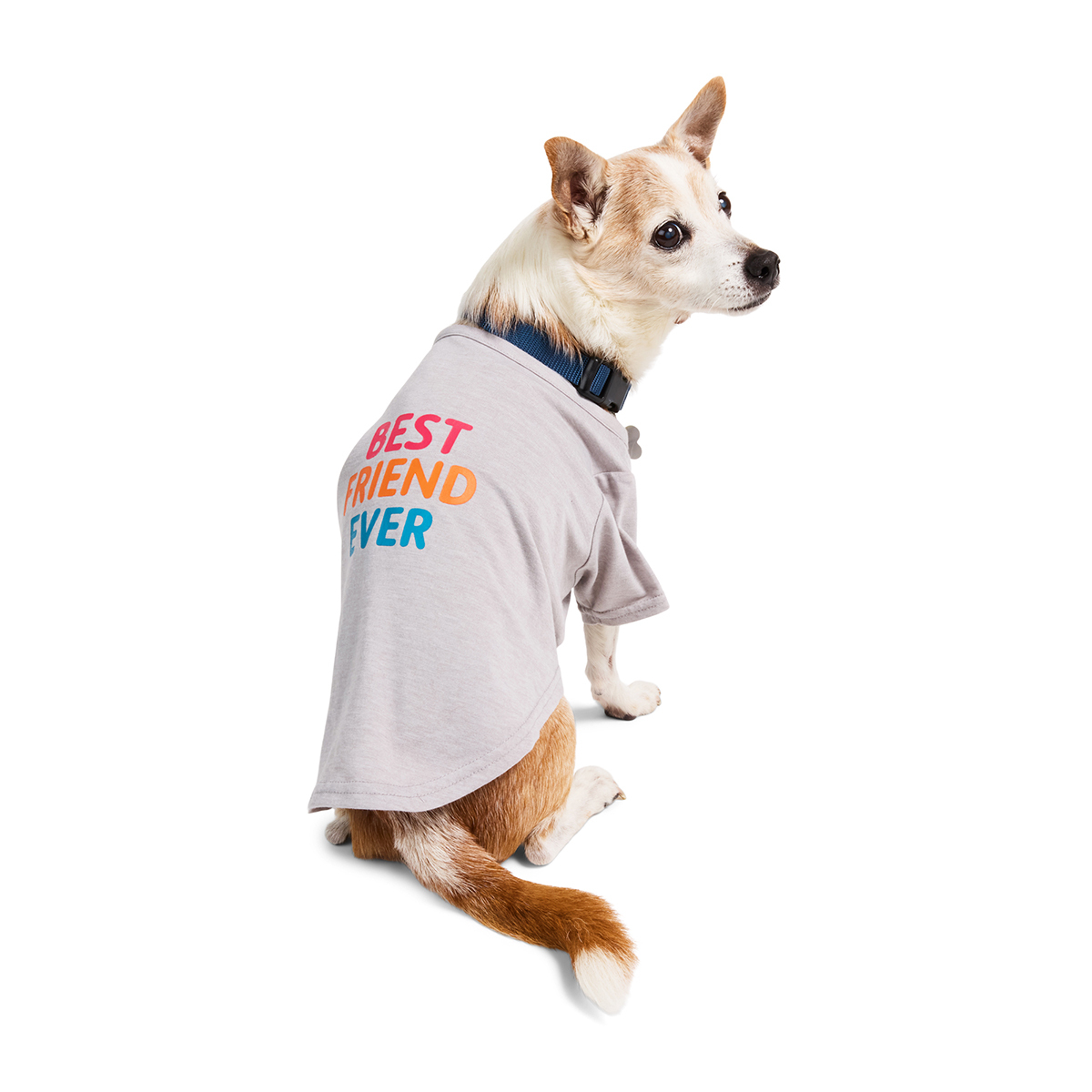 Youly Spring Playera con Estampado Best Friend Ever para Perro, Mediano