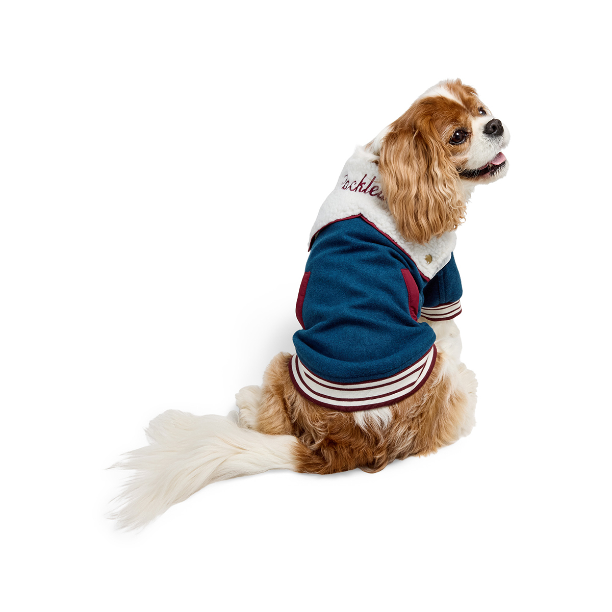 Reddy Fall Apparel Chamarra Preppy con Bordado Packleader para Perro, Mediano