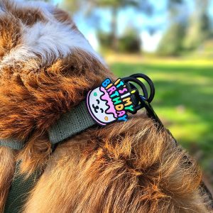 Jiby Charm para Personalizar Arnés Collar o Correa Diseño Pastel de Cumpleaños, 1 Pieza