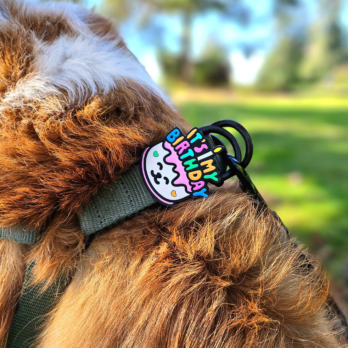 Jiby Charm para Personalizar Arnés Collar o Correa Diseño Pastel de Cumpleaños, 1 Pieza