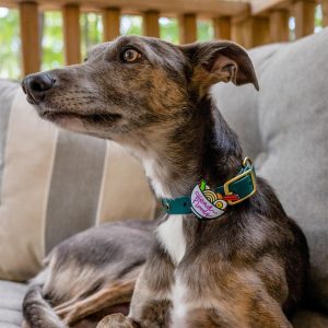 Jiby Charm para Personalizar Arnés Collar o Correa Diseño Ramen, 1 Pieza