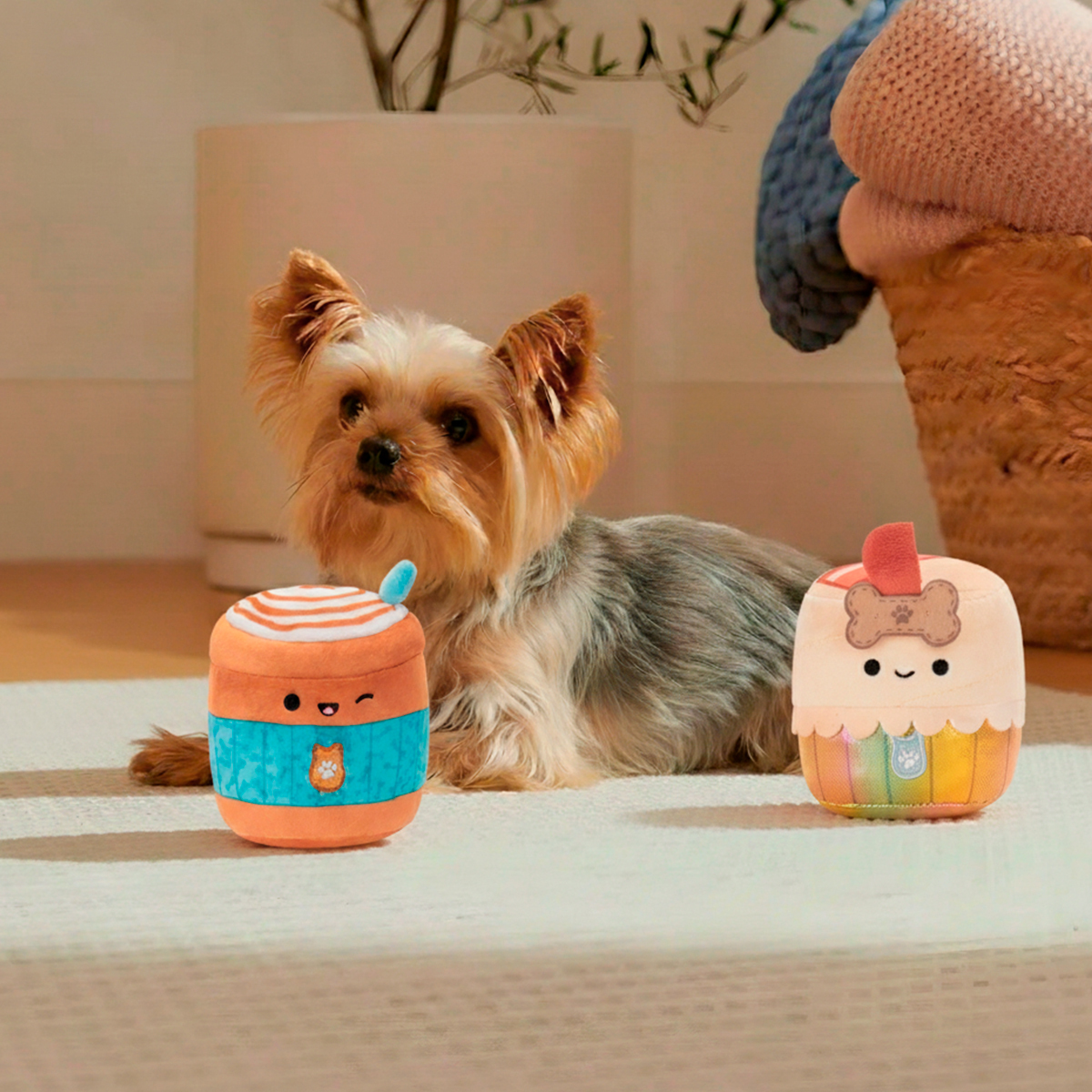 Squishmallows Pets Deeku & Lou Lou Set Peluches Diseño Capuchino y Cupcake para Perro, Chico