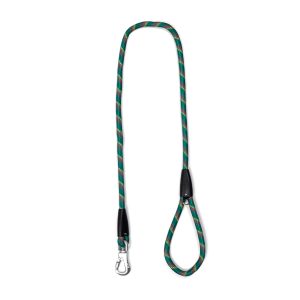 Youly Neon Reflective Correa Redonda Verde con Reflectante para Perro Raza Mediana, 1.2 m