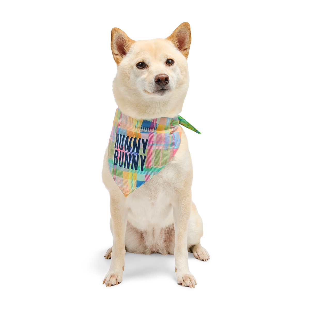 Youly Summer Bandana Doble Vista Diseño Hunny Bunny para Perro, Chico/Mediano