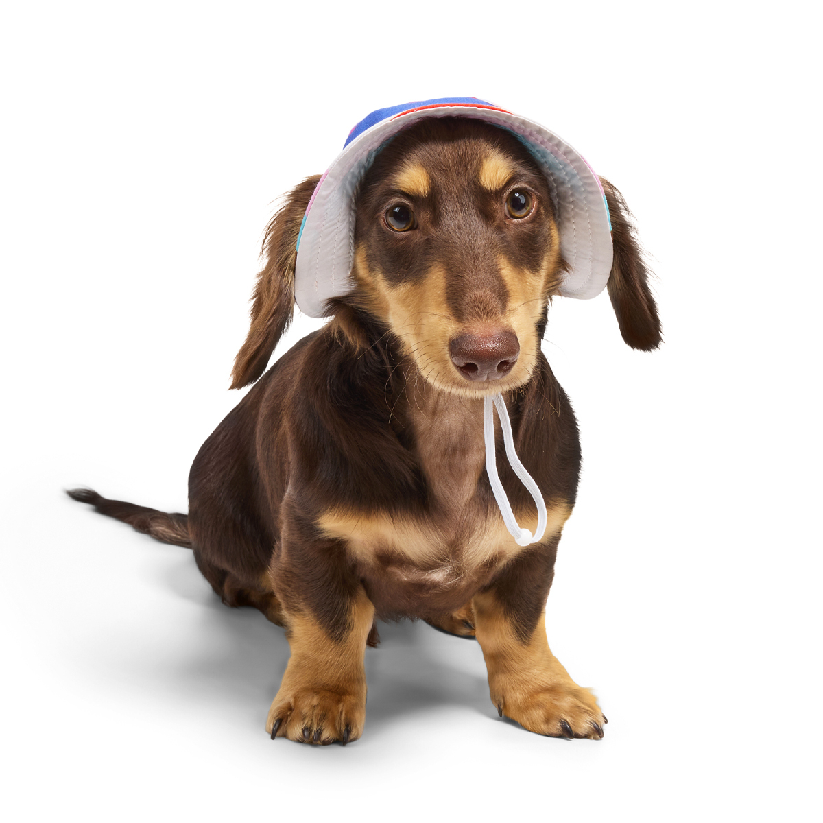 Youly Pride Sombrero Tipo Pescador Diseño Orgullo para Perro, X-Chico/Chico