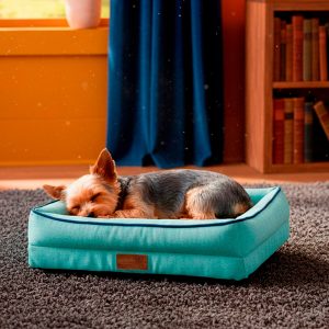 Gravity Brotherhood Cama Rectangular con Bordes Color Turquesa para Perro, X-Chico