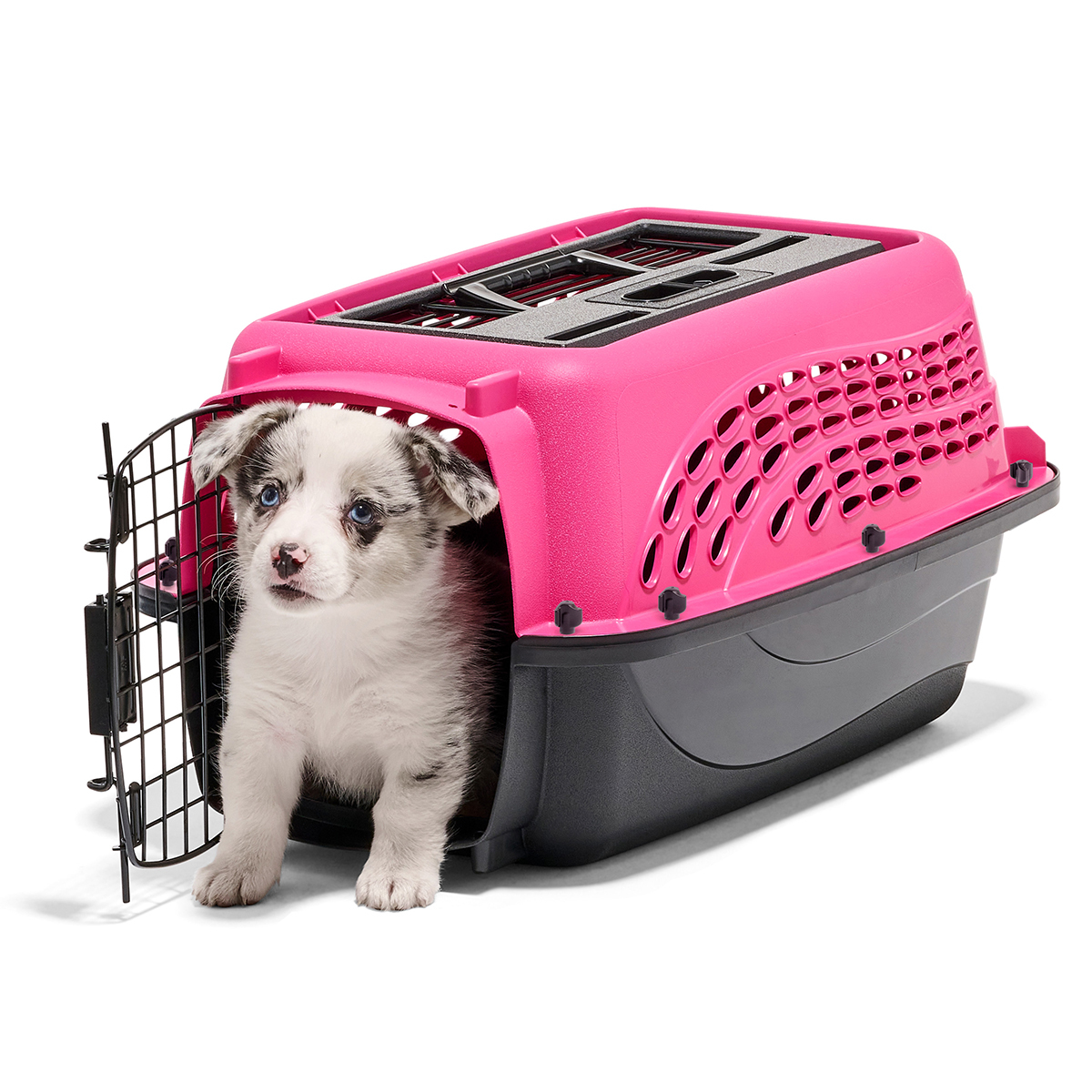 Petmate Pet 2 Door Transportadora Rígida Color Rosa con Doble Puerta para Perro y Gato, XX-Chico