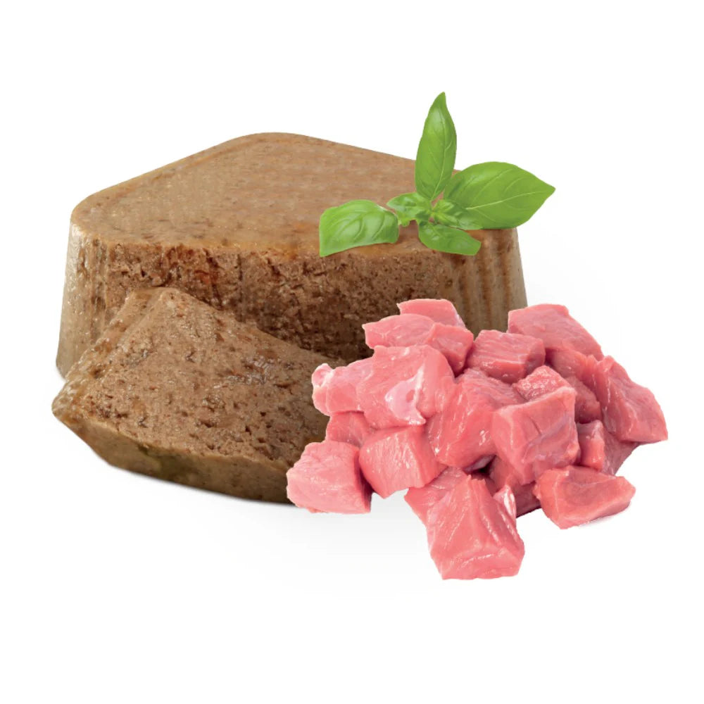 Nupec Alimento Húmedo- Adulto - Image 2