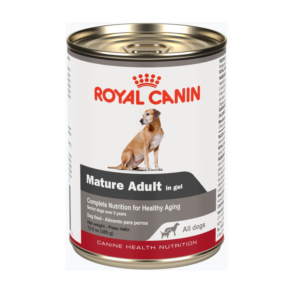 ROYAL CANIN - Alimento Húmedo Para Perro Senior 385 g