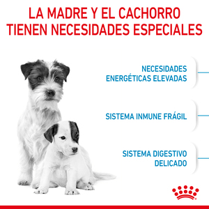Alimento Para Perro Royal Canin Small Starter Mother & BabyDog Alimento Seco para Gestación/ Lactancia o Destete Para Perro - 6.36 KG - Image 4
