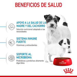 Alimento Para Perro Royal Canin Small Starter Mother & BabyDog Alimento Seco para Gestación/ Lactancia o Destete Para Perro - 6.36 KG - Image 5