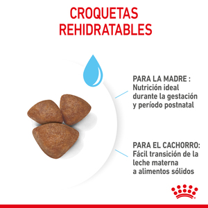 Alimento Para Perro Royal Canin Small Starter Mother & BabyDog Alimento Seco para Gestación/ Lactancia o Destete Para Perro - 6.36 KG - Image 6