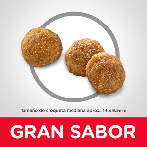 Alimento Seco para Perro Adulto Raza Mediana Hill's Science Diet Receta Pollo - 7.5 kg - Image 3