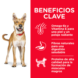 Alimento Seco para Perro Adulto Raza Mediana Hill's Science Diet Receta Pollo - 7.5 kg - Image 5