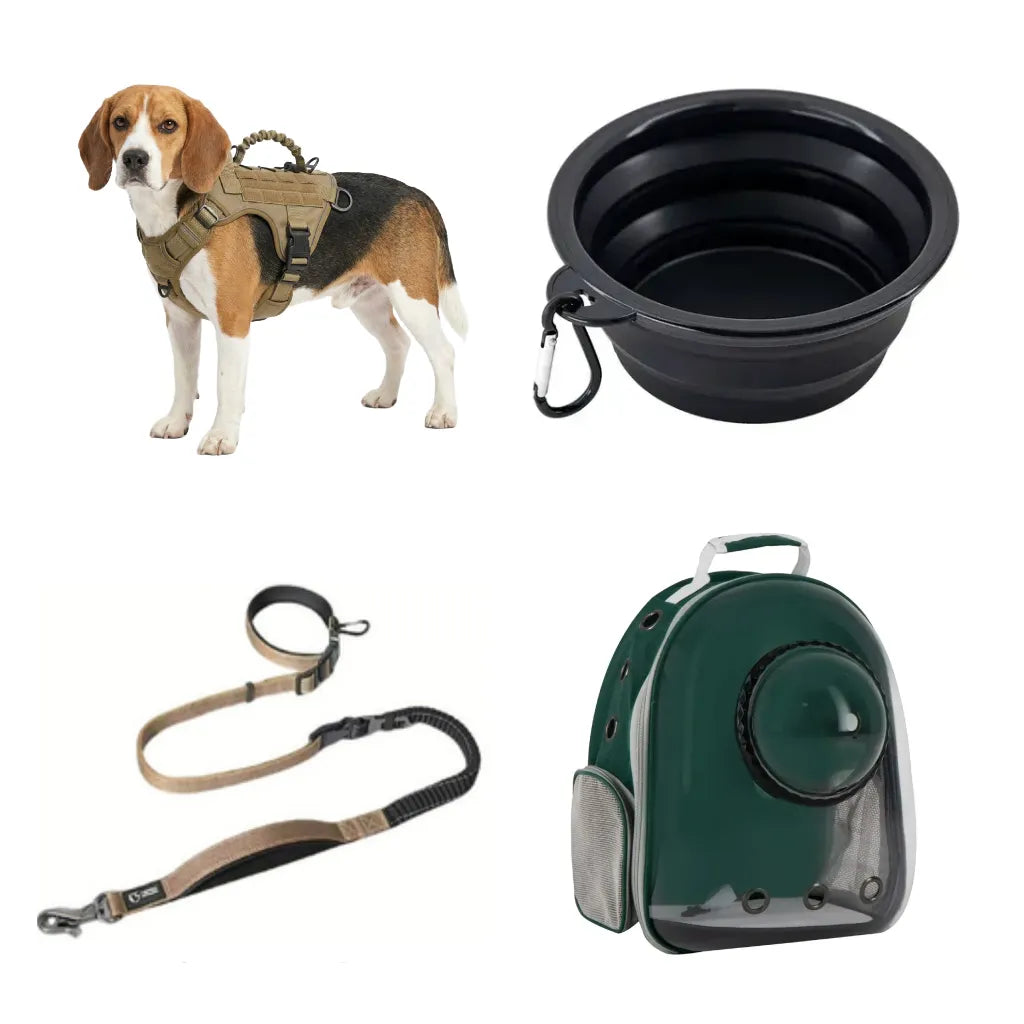KIT 3 - Viaje con Mascota