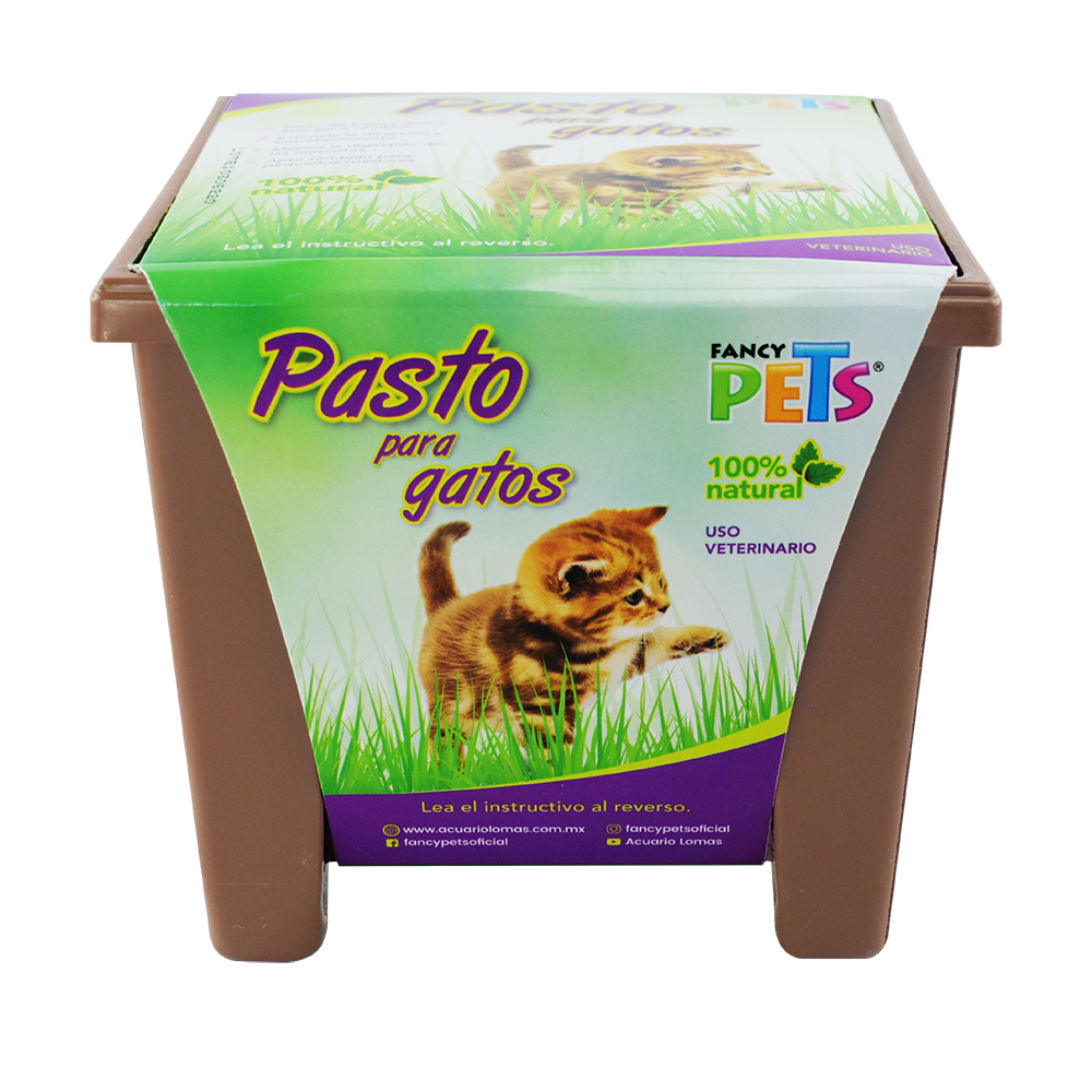 Fancy Pets Pasto Para Gatos - Premios para gato