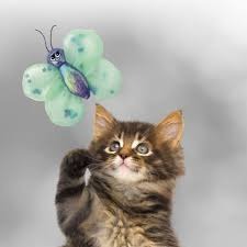 KONG BetterBuzz Mariposa Catnip - Image 3