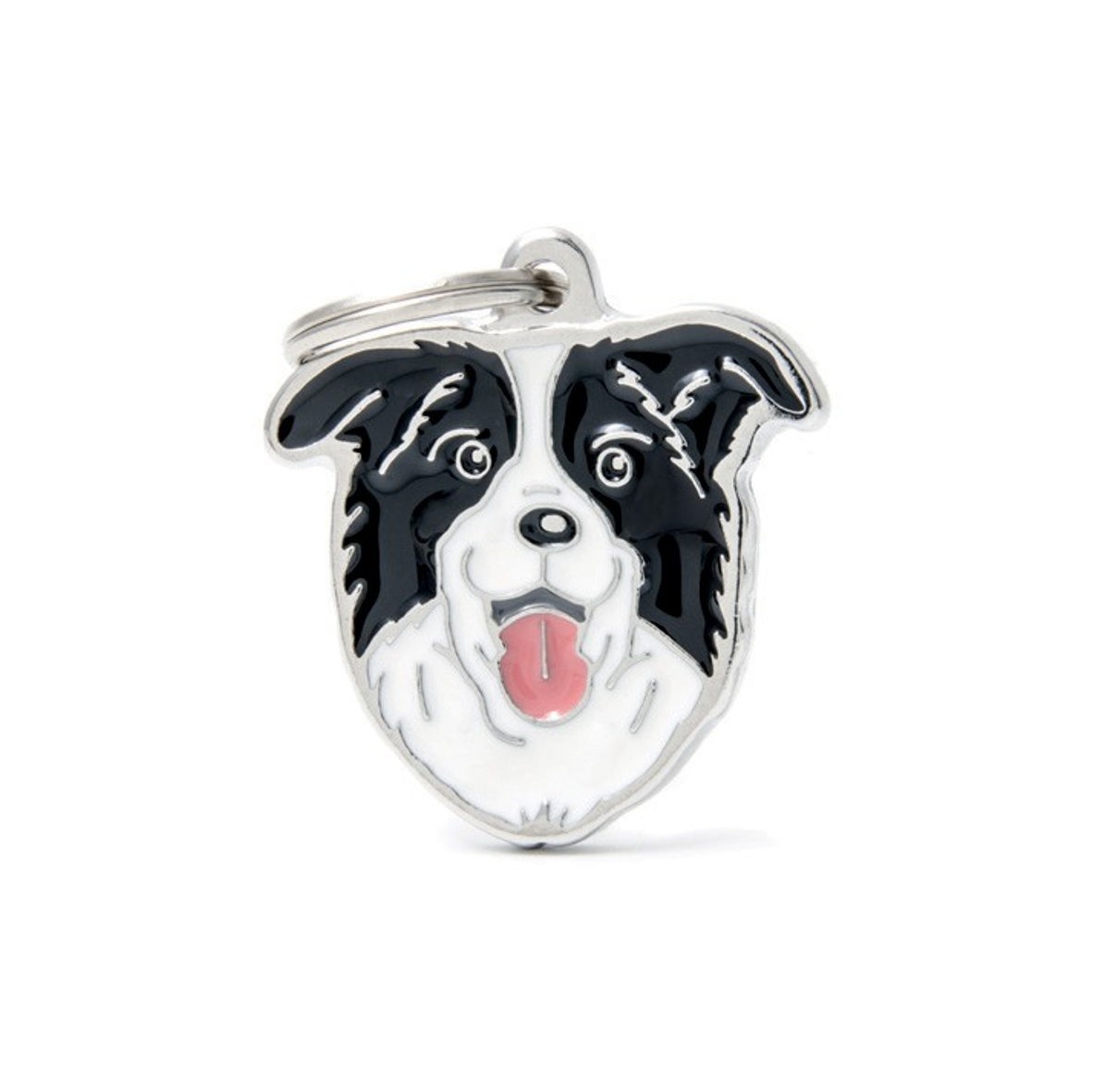 Myfamily - Border Collie