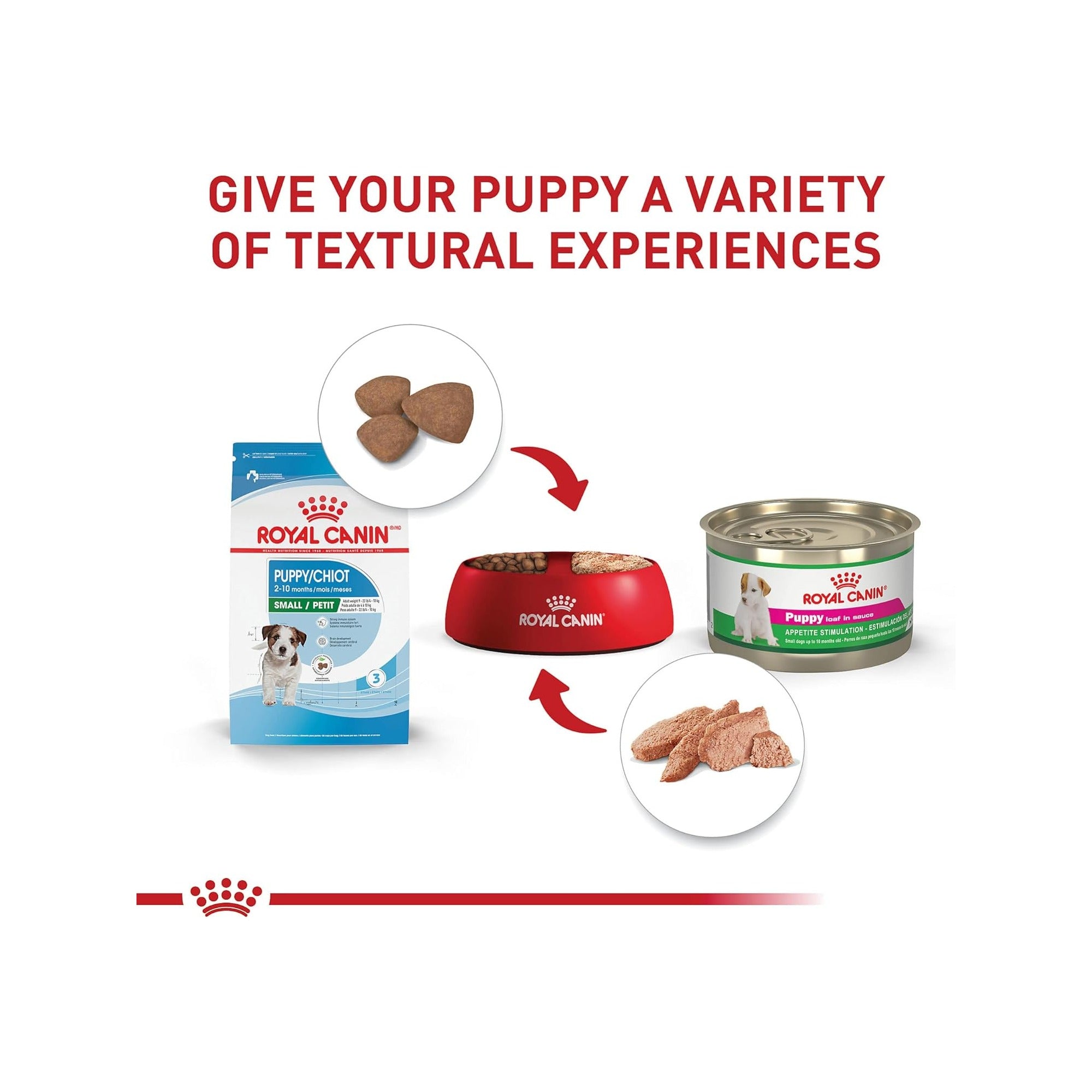 ROYAL CANIN - Alimento Seco Para Cachorro Razas Pequeñas 6.3 Kg - Image 6