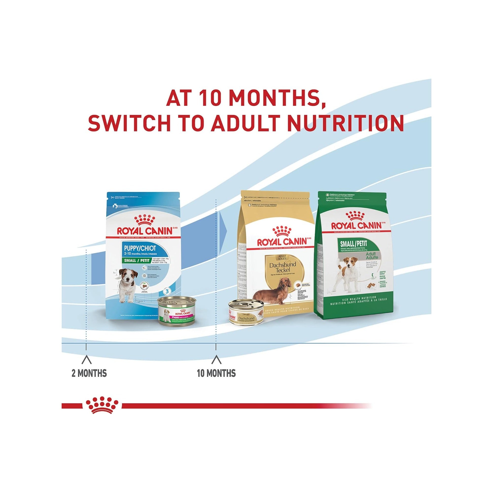 ROYAL CANIN - Alimento Seco Para Cachorro Razas Pequeñas 6.3 Kg - Image 7