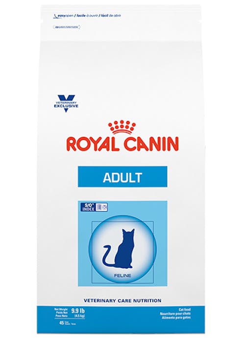 Alimento Royal Canin Gato Adulto 2Kg  581402