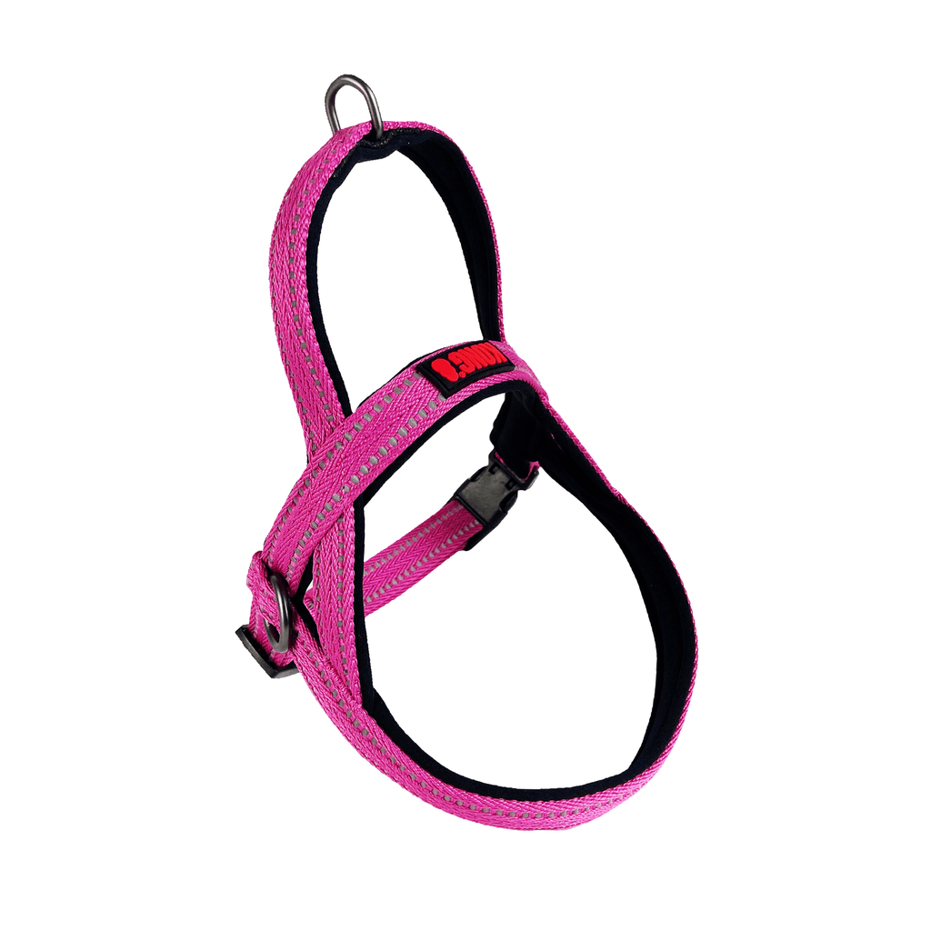 KONG Arnes Noruego Grande - Rosa
