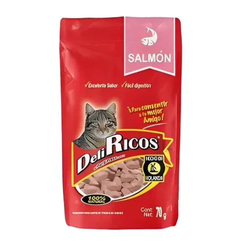 DeliRicos Snacks Salmón — 70g