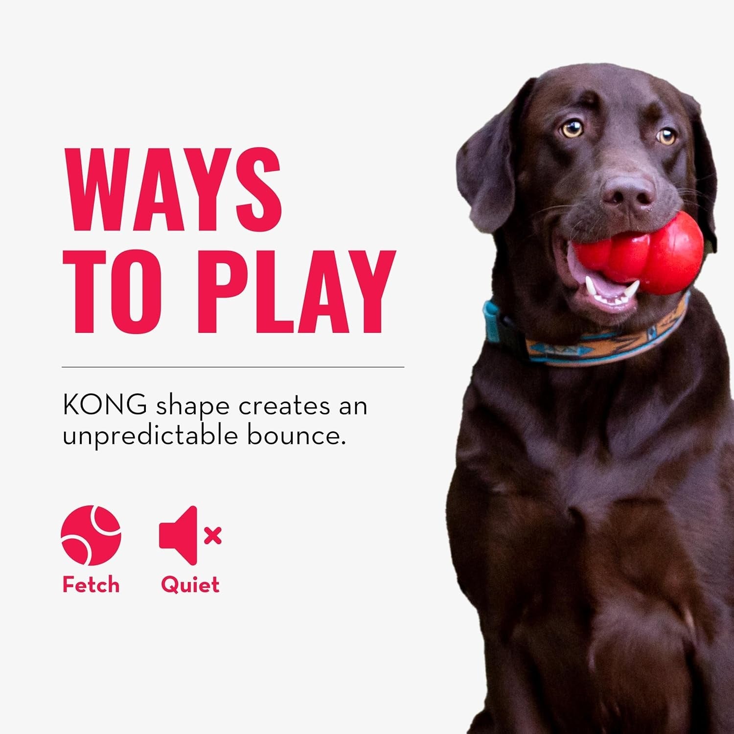 KONG Bounzer M— Rebote Impredecible - Image 3