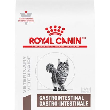 Alimento Royal Canin Gato Gastrointestinal 4Kg 484088