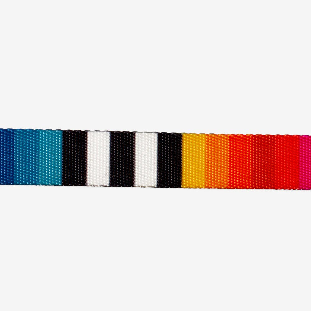 Zee.Dog Collar Prisma - Image 3