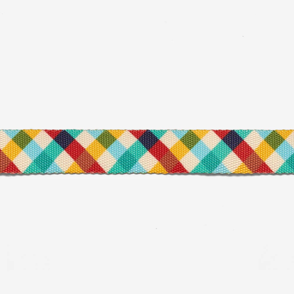 Zee.dog Collar Phantom - Image 4