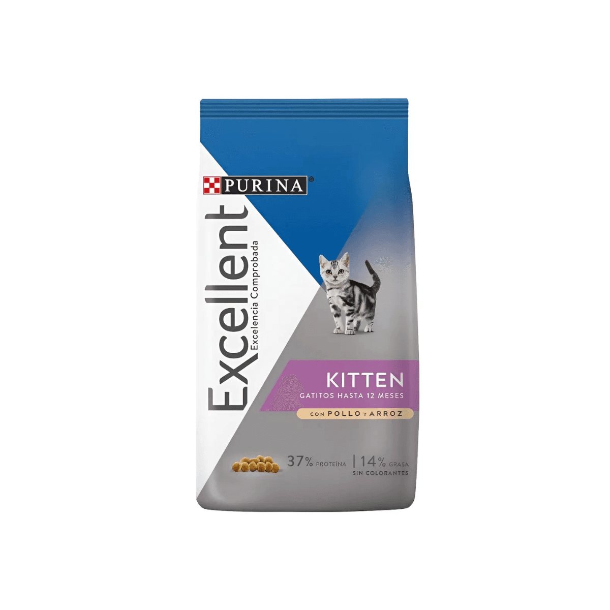 Excellent Kitten