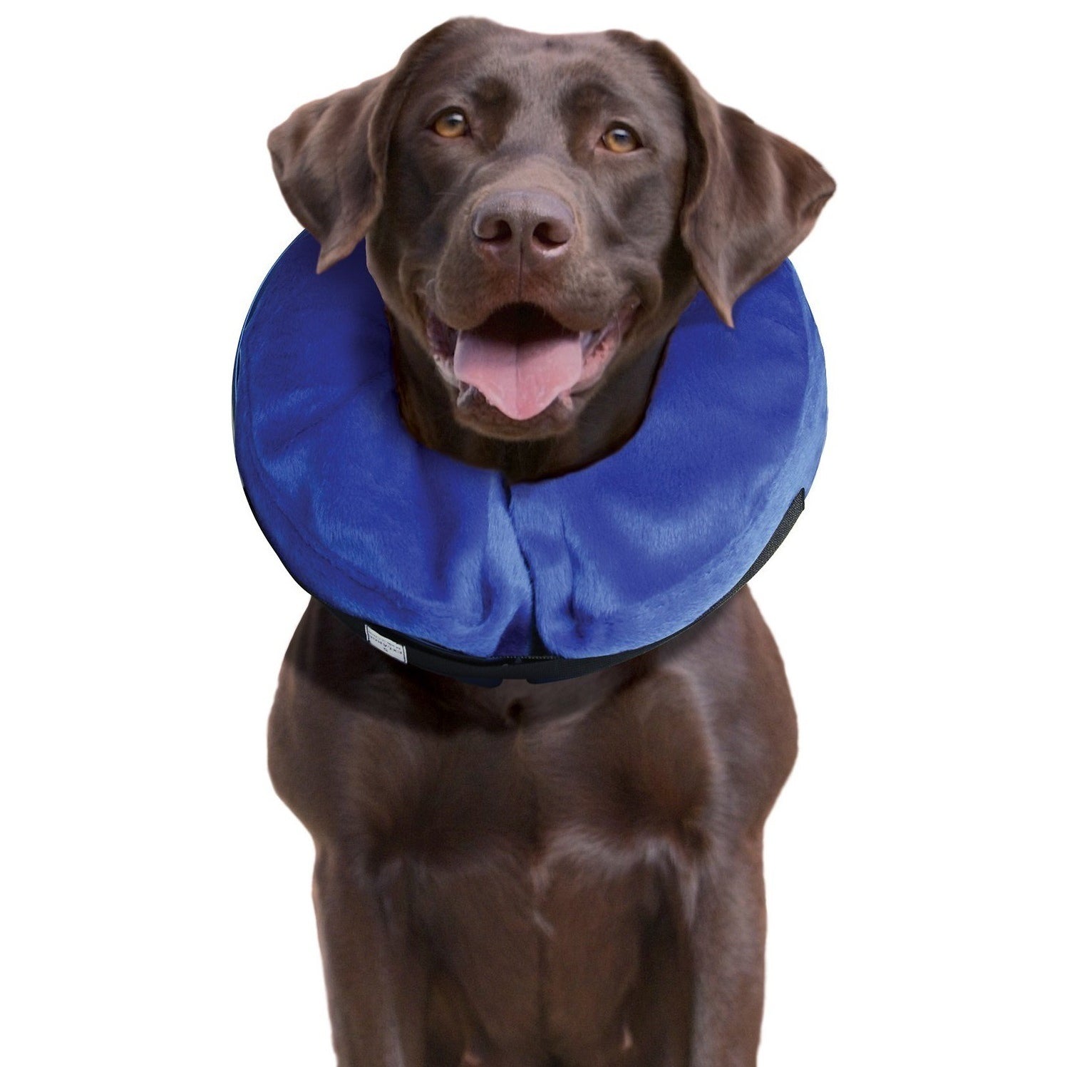 KONG Cloud Collar Recuperación — Large - Image 3