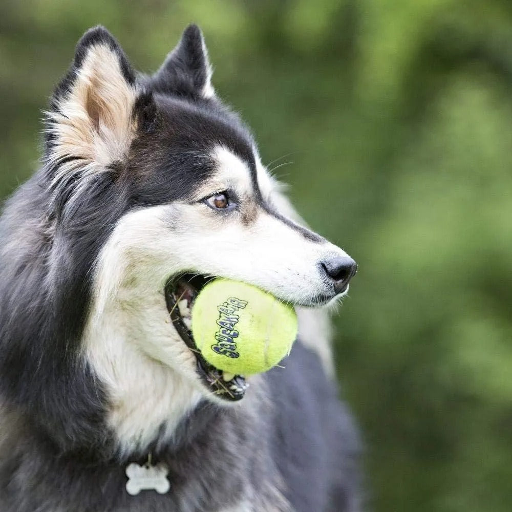 KONG SqueakAir — Juguete para Perro · Combinación de Pelota y Squeaker - Image 3