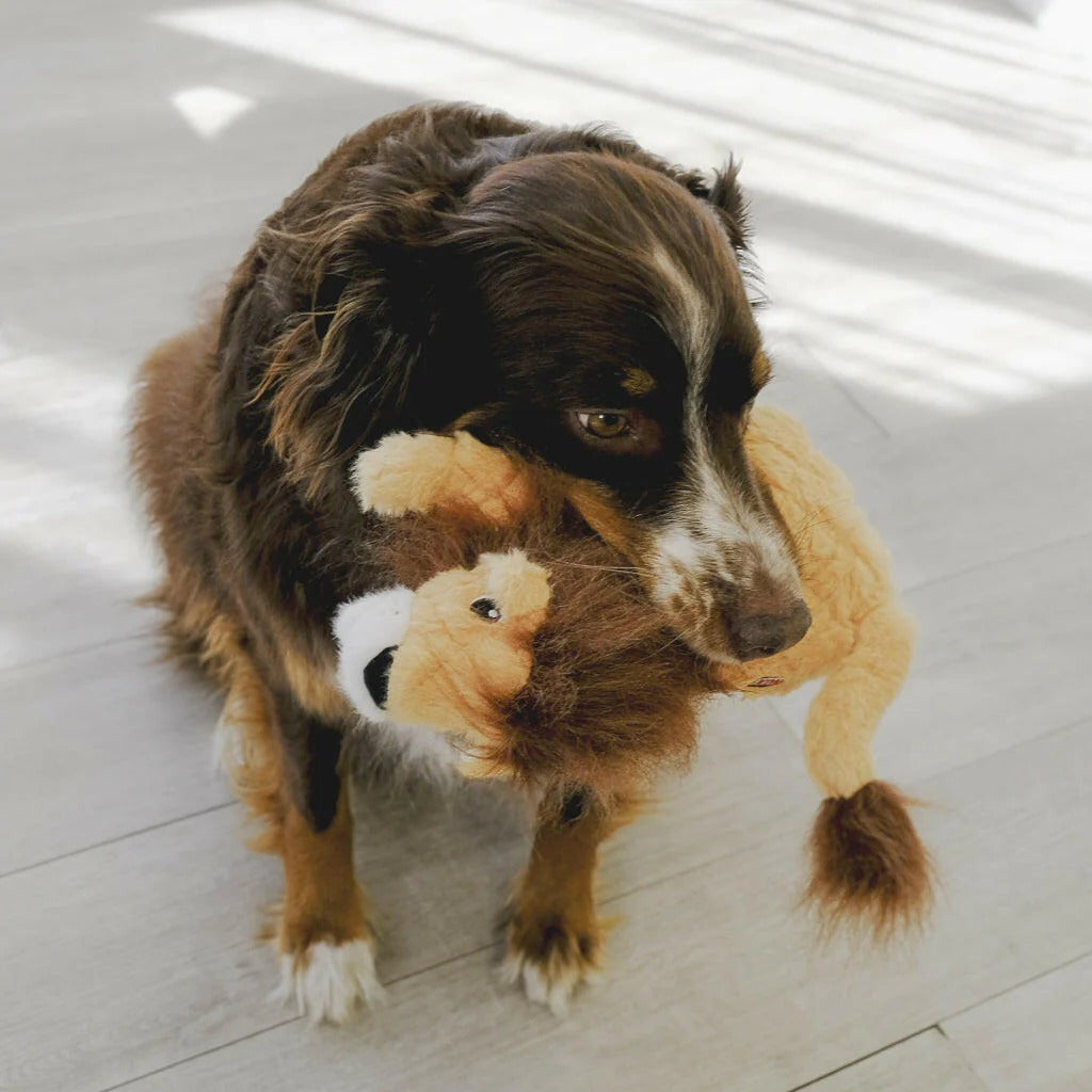 KONG Scampers León — Peluche ligero para perseguir y capturar - Image 3