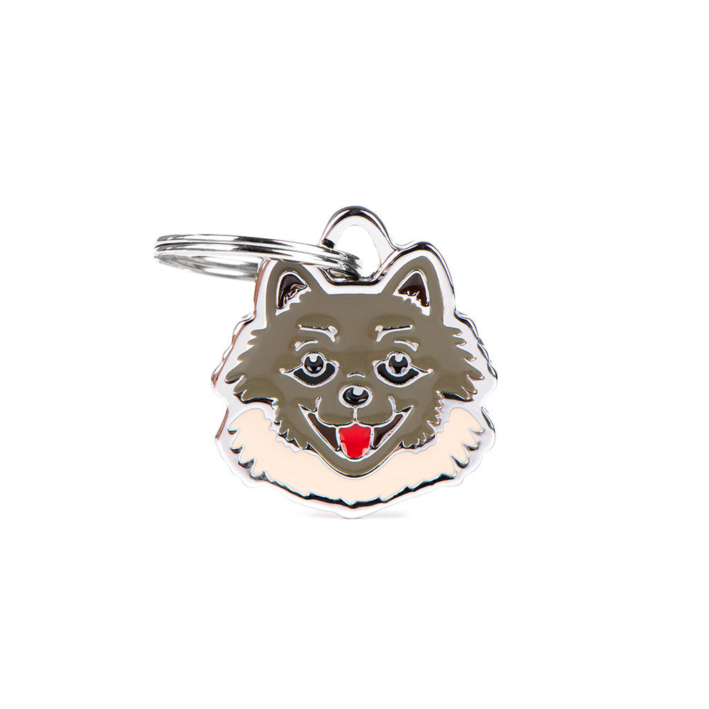 MyFamily- Spitz de Pomerania