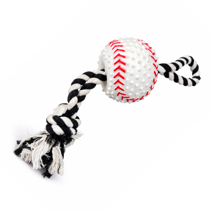 Pelota béisbol