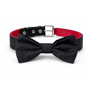 Collar bow tie - L