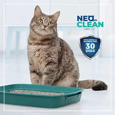 Arena Neo Clean Para Gato con Aroma Manzana - 8.30 kg - Image 2