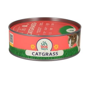 Cat Grass - Pasto De Trigo Para Gatos Premium