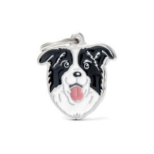Myfamily - Border Collie