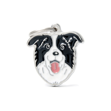Myfamily - Border Collie