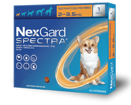 Nexgard Spectra Ex-Chico (2-3.5 Kg) (1 Masticable)